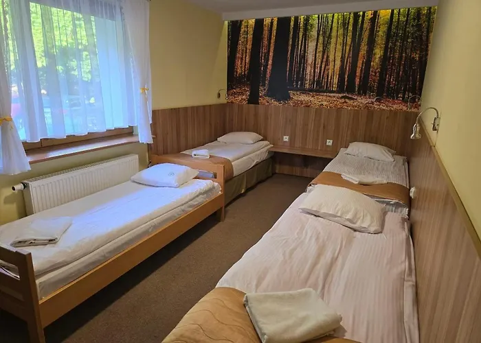 Lesny Osrodek Szkoleniowy W Puszczykowie *