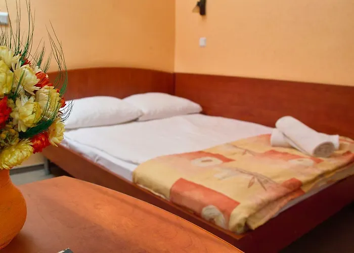 Lesny Osrodek Szkoleniowy W Puszczykowie Resort Puszczykowo