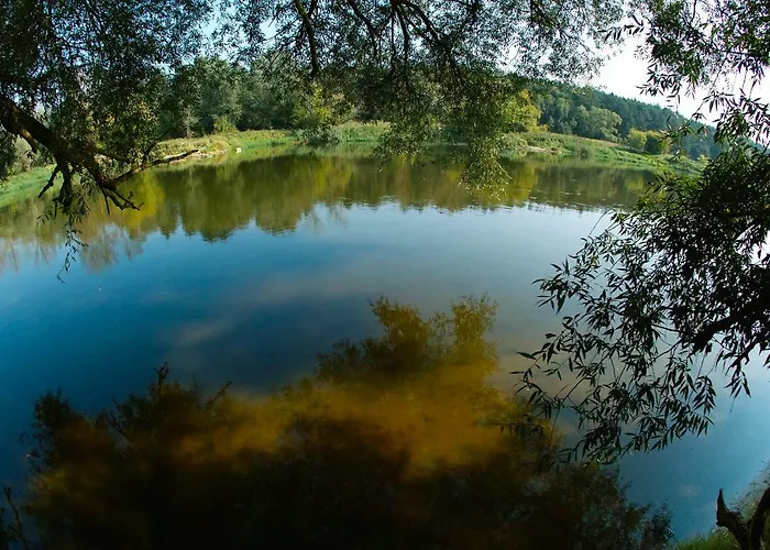 Resort Lesny Osrodek Szkoleniowy W Puszczykowie