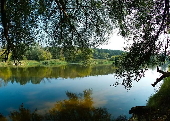 Lesny Osrodek Szkoleniowy W Puszczykowie Resort Puszczykowo