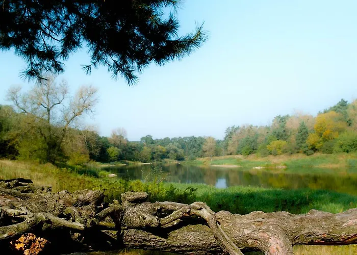 Lesny Osrodek Szkoleniowy W Puszczykowie Puszczykowo