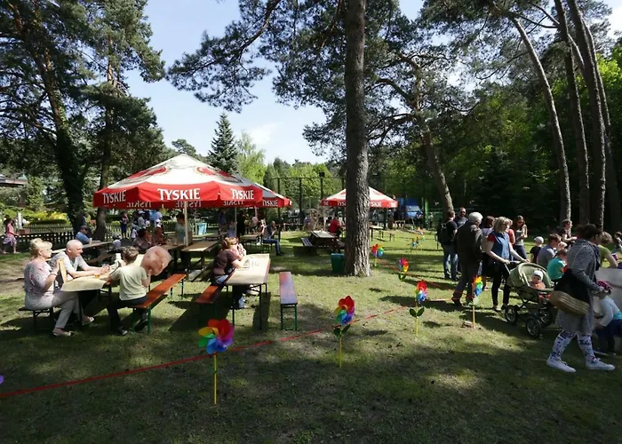 Lesny Osrodek Szkoleniowy W Puszczykowie * Puszczykowo