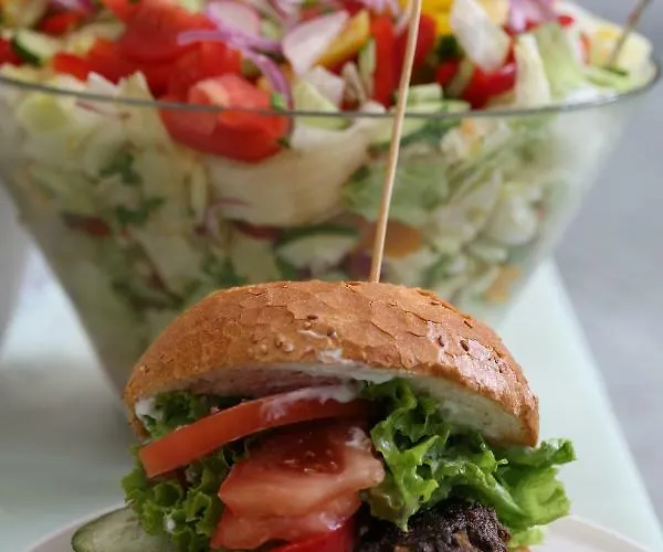 Lesny Osrodek Szkoleniowy W Puszczykowie * Puszczykowo